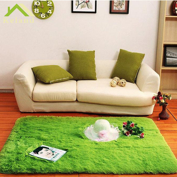 Bedroom Water Absorption Carpet Rugs for home